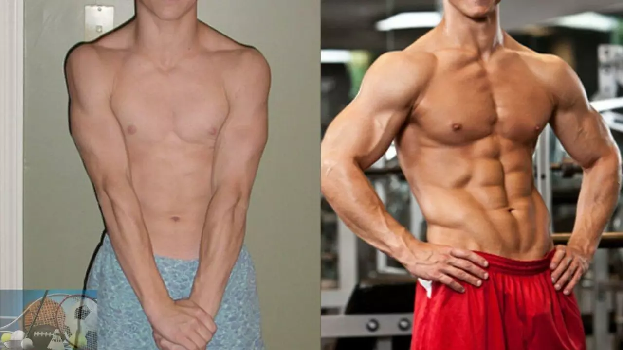 How much muscle mass can I gain naturally in 6 months?