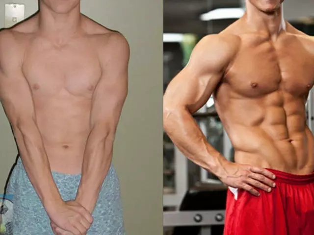 How much muscle mass can I gain naturally in 6 months?